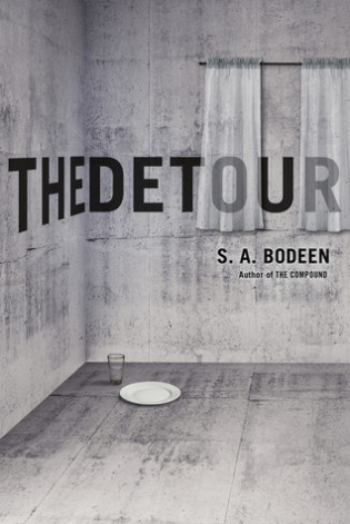 Blog Tour: The Detour