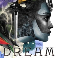 Dreamstrider By Lindsay Smith