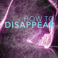 How To Disappear By Ann Redisch Stampler
