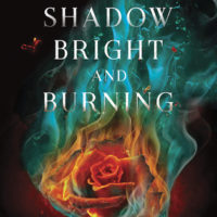 Blog Tour: A Shadow Bright And Burning
