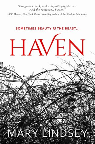 Blog Tour: Haven